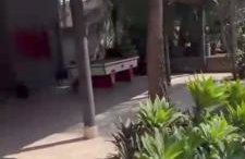 chacara linhares - Foto 6