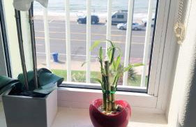 Embrace the refreshing breezes! - Foto 33