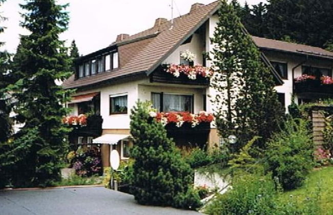 Koferl Modern Retreat - Photo 1