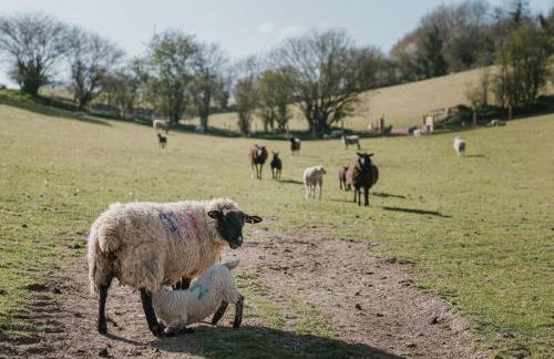 Holwell Farmhouse - Foto 49