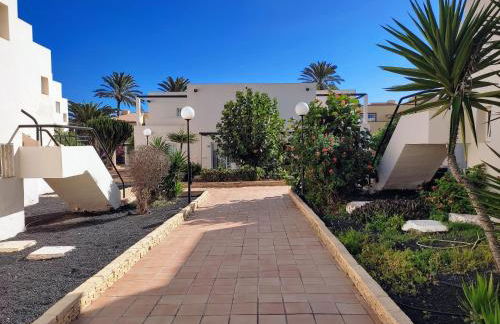 Red Hibiscus Corralejo iRent Fuerteventura - Photo 23
