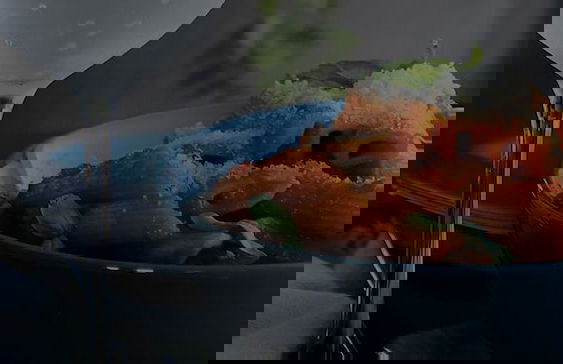 VISIONAPARTMENTS Zurich Waffenplatzstrasse - Foto 31