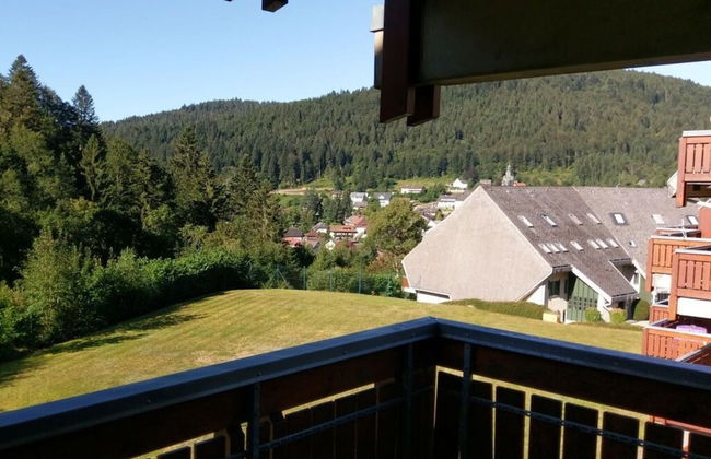 Todtmoos Modern Retreat - Photo 24