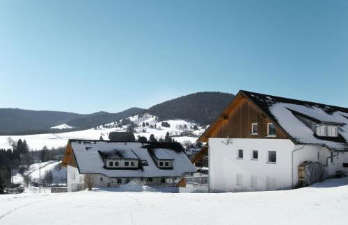 Apartment Schwarzwaldblick II by Interhome - Foto 1