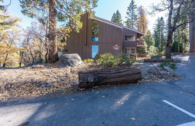 Elmer's Hideout - Fully Renovated Yosemite Escape! - Foto 22
