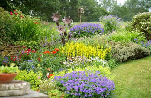 Ebony Cottage - Foto 23