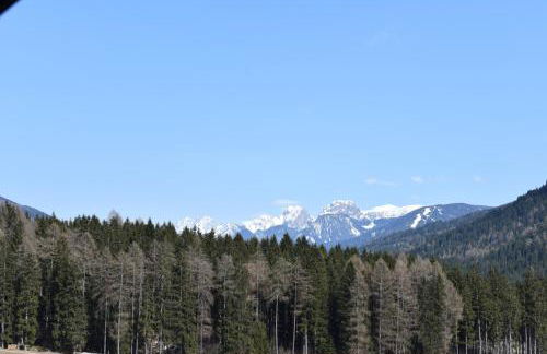 Appartements Tamperhof - Foto 40