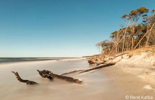 ILEX Appartements - Foto 28