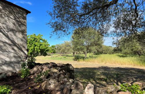 Muristene Pozzo Santa Cristina - Foto 11