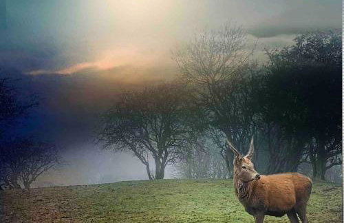 Little Monks Suite - Foto 36