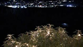 Il Paradiso all'improvviso - Photo 5