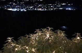 Il Paradiso all'improvviso - Photo 5