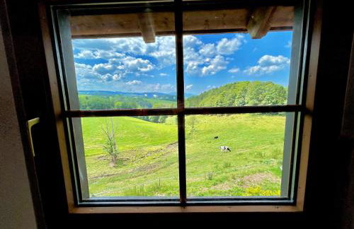 Ferienwohnung Weideblick - Photo 9