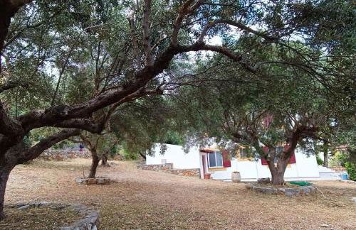 Villa Melivia - Foto 37