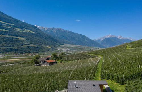 Pixnerhof - Ferienwohnung Golden - Foto 31