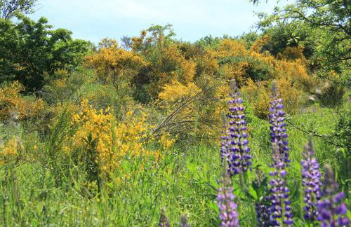 Ferienhaus Vennblick - Foto 47