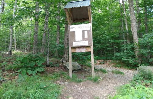 Mountain Retreat - Photo 49