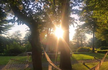 Chalet Bosco Magico Roccolo - Foto 33