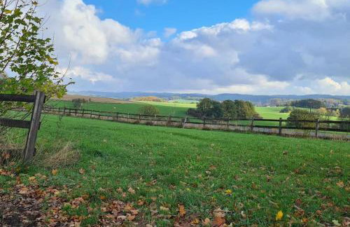 Jedermanns Nest - Foto 14