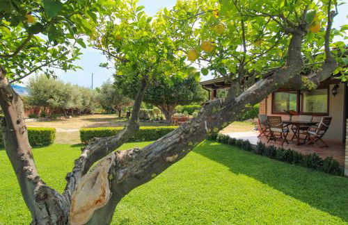 La Casa di Lina - Capo d'Orlando, casa con ampio giardino - Foto 9
