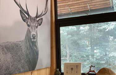 Aux trois marmottes - Chalet au pied des pistes - Foto 13