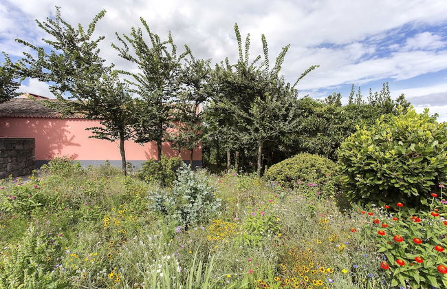 Quinta dos Peixes Falantes - Foto 66