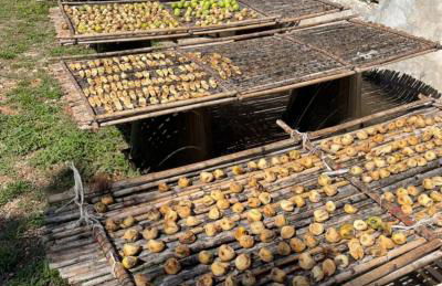 Casa Federica - Foto 57