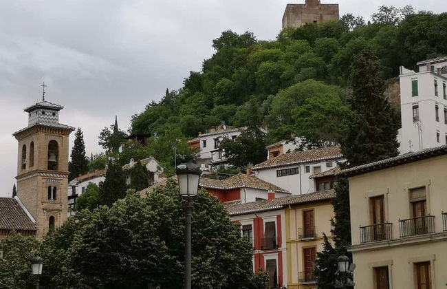 Visite privée dans Grenade. À vous de choisir ! - Photo 3