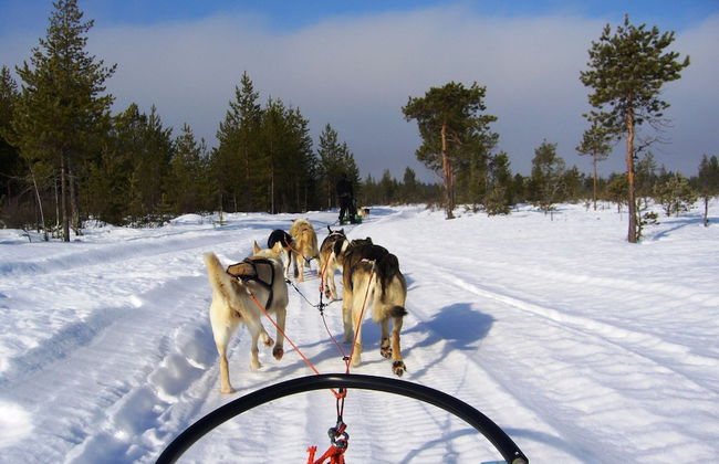 Hotel Katkavaara Aurora Apartments - Foto 15