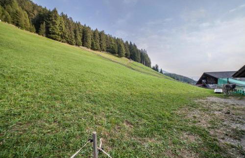 Tonigbauernhof Enzian - Foto 27