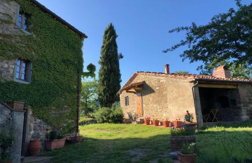 Podere Pruneto - Foto 17