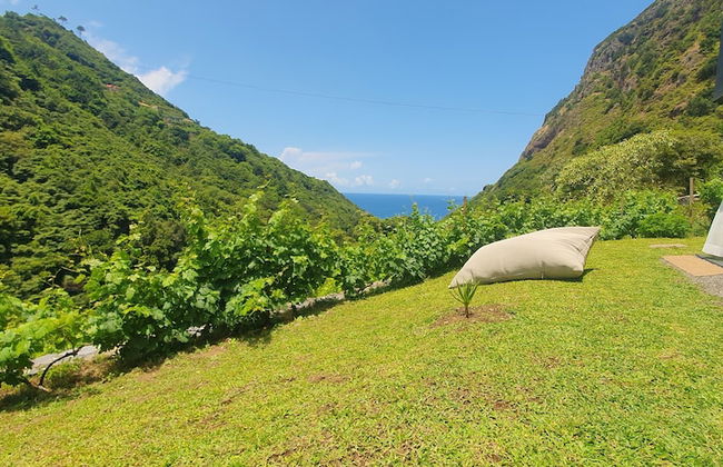 Terrabona Nature & Vineyards - Foto 57