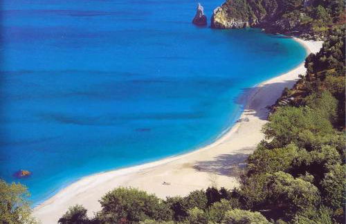 House of Gardenia - Foto 90