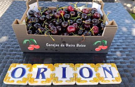 Orion Guesthouse Telhado - Foto 37