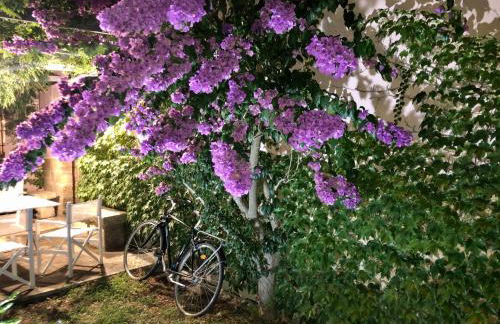 Masseria La Torre - Foto 99