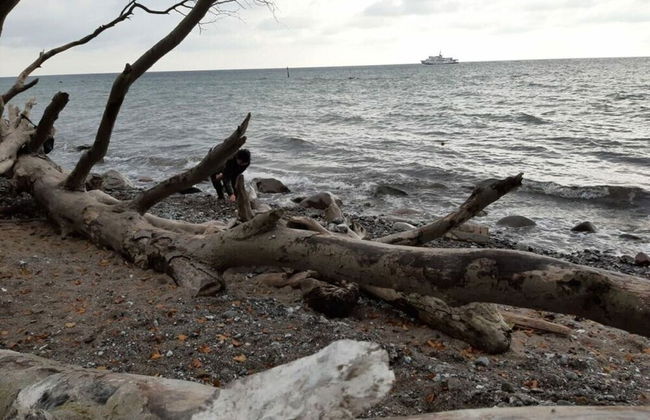 Holiday Apartment sea bay - Foto 26