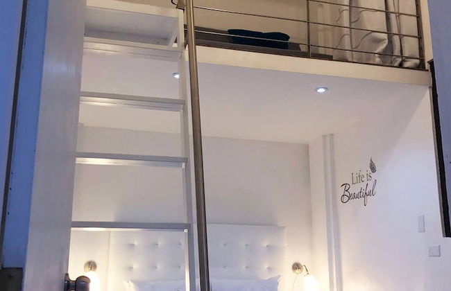 Gladiolas 2104 - Foto 3