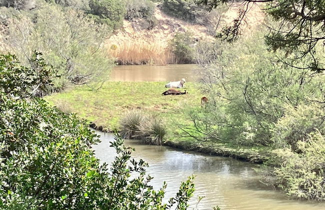 New Appartment at 100 mt From the sea - Photo 18