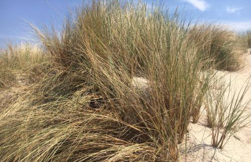 RAJSKA PLAZA Poddąbie Basen odkryty brodziki Basen kryty Plac zabaw Animacje - Foto 42