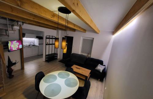 Sosnowe Wzgórze - Wypoczynek w Zagórzu Śląskim 3 - Foto 19