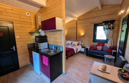 Chalet détente avec spa et sauna près des 1000 Étangs - FR-1-583-468 - Foto 4