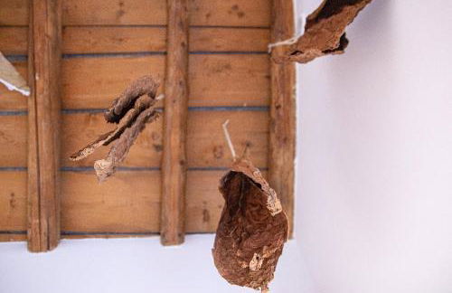 Alloggi I Calieroni - Foto 20