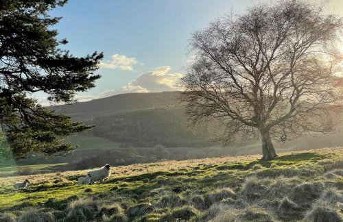 West Gorton - Foto 21