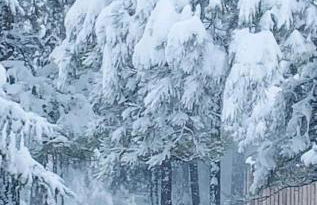 Kathys Cabin, King Bed, Hot Tub, Near-NAU & Downtown attractions, Perfect Year-Round Mountain Getaway - Photo 53