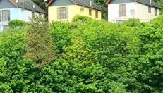 Coastview Cottage ,quiet beach holiday - Foto 2