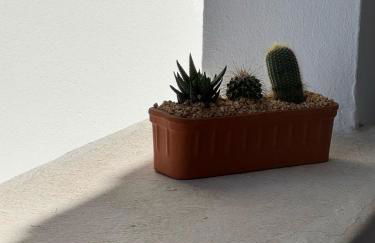 El Minorq'In - Foto 7