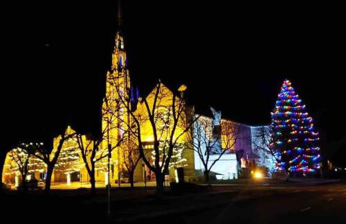 Cozy North End Farmhouse Easy walk to Downtown - Photo 23
