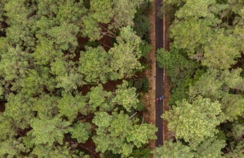 Jolie maison au cœur de la Marina Talaris Lacanau - Foto 48
