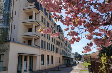 1 studio et 2 appartements 3 étoiles au calme à 150 m des thermes - Bains-Les-Bains - Foto 47