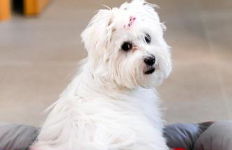 Eumorphia Studios & Apartments - Foto 28